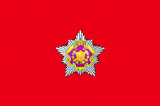 флаг сухопутных войск