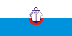 флаг ТВВОД