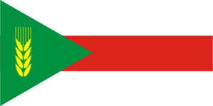 флаг БСП