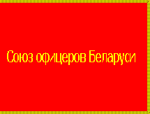 флаг Союза офицеров