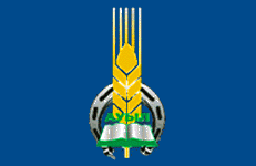 флаг ауыла