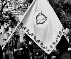    1989