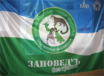 флаг