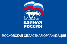 флаг Единой России