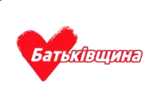 флаг партии