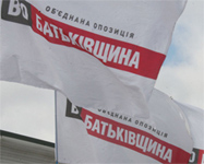 флаг партии