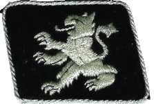 петлица